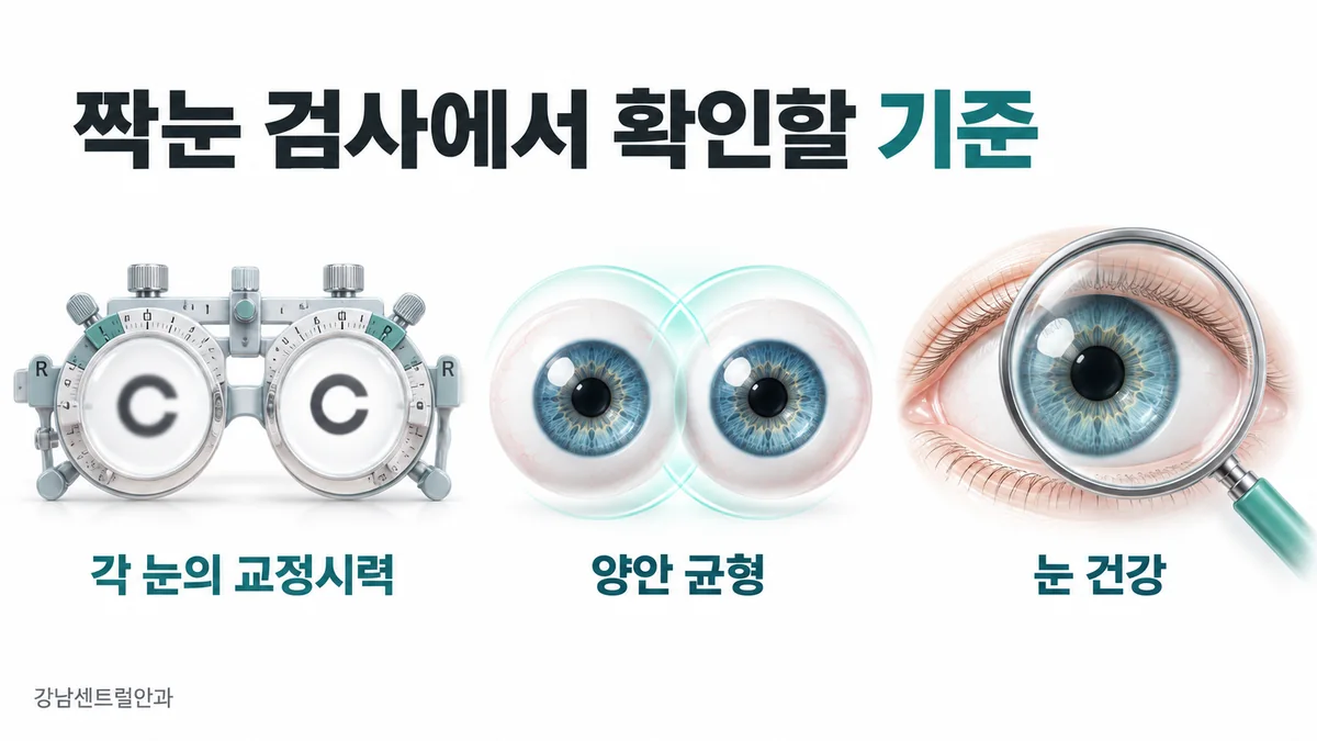 각 눈의 교정시력, 양안 균형, 눈 건강을 확인하는 짝눈 검사 개념도