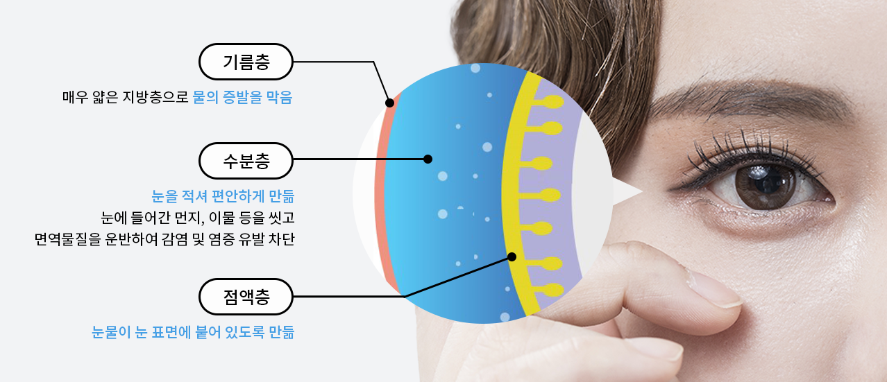 눈물층 구조를 기름층·수분층·점액층 세 겹으로 나눠 보여 주는 그림