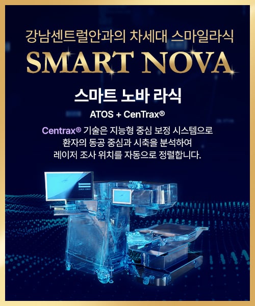 스마트노바